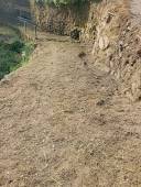 LimpezasemcursonaFreguesiadeSoCristovodeMondimdeBasto6