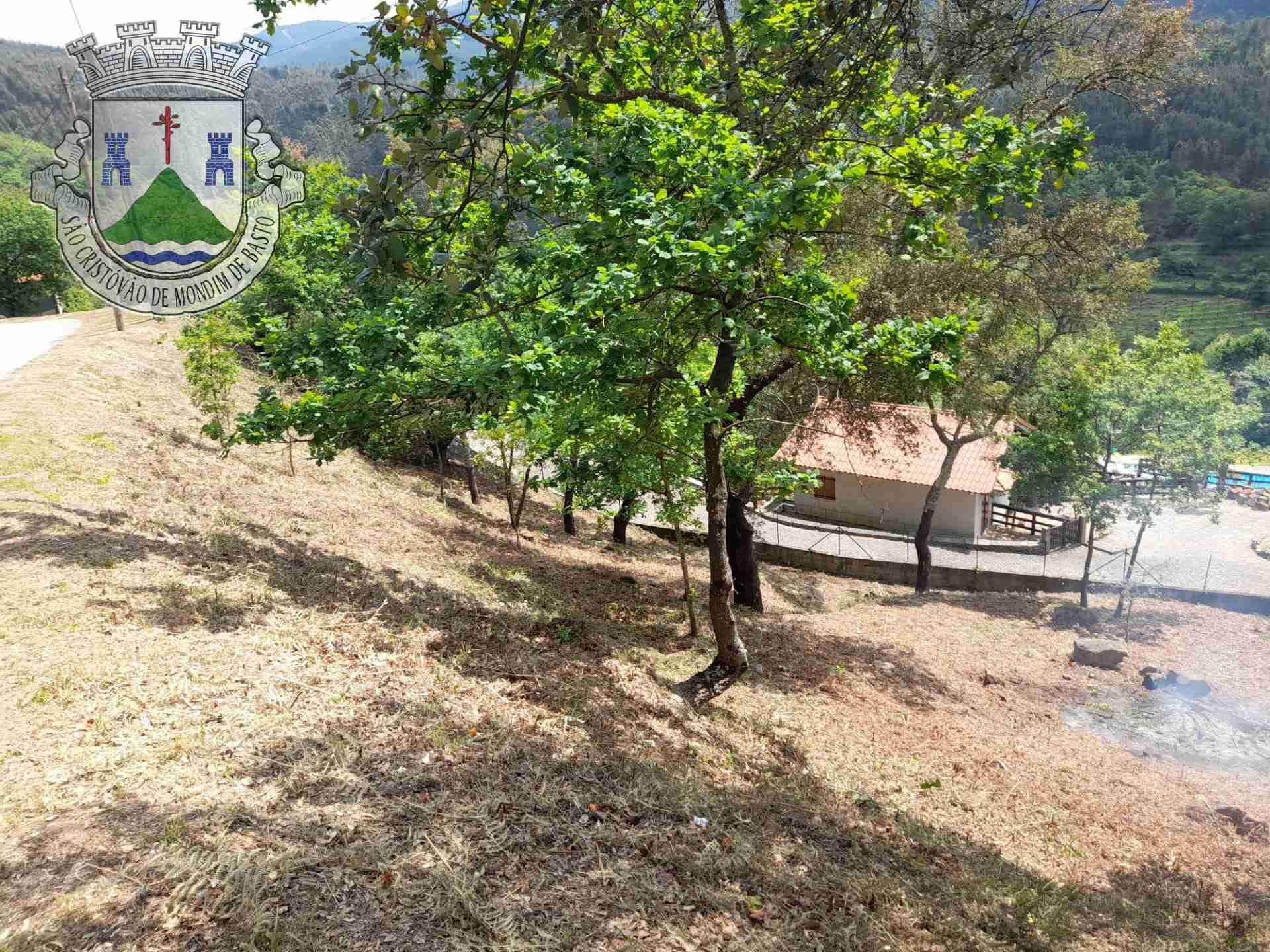 Limpeza e Manutenção do Espaço Público