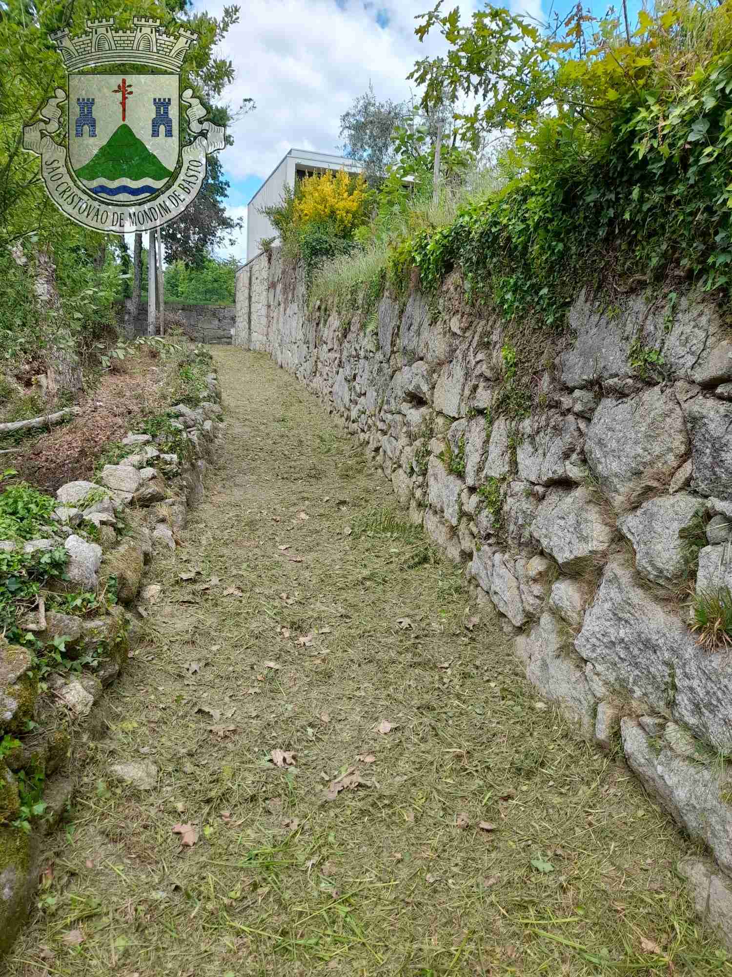 Limpeza e Manutenção do Espaço Público