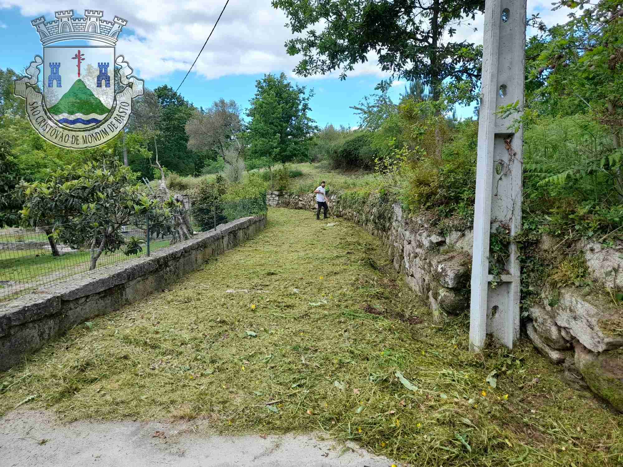 Limpeza e Manutenção do Espaço Público
