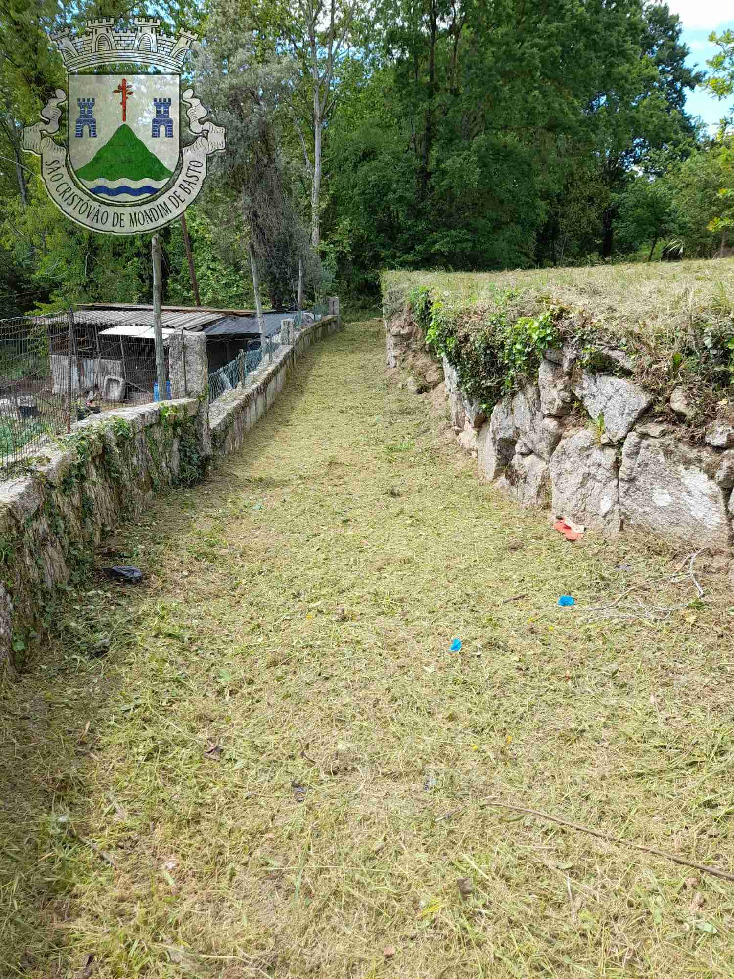 Limpeza e Manutenção do Espaço Público