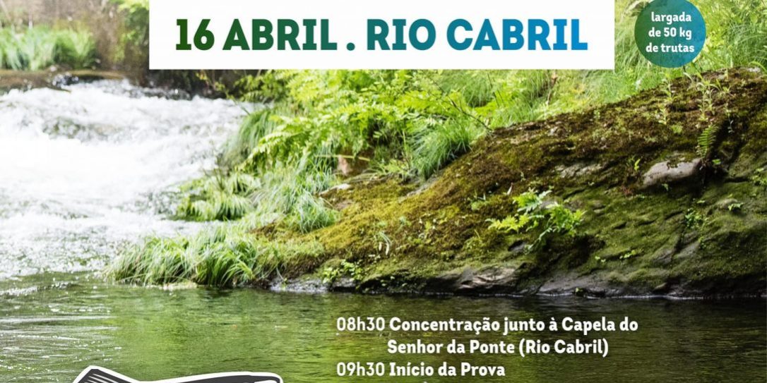 Largada de Trutas - Rio Cabril