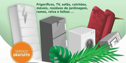 Como se livrar dos seus monos