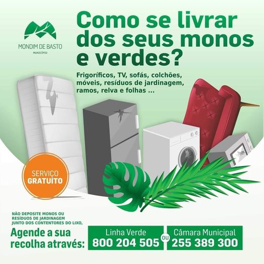 Como se livrar dos seus monos